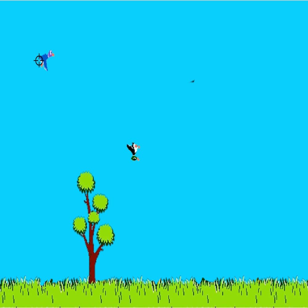 Duck Hunt